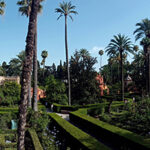 Sevilla Alcazar